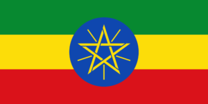 Amharic translation services